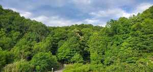 Mountain Top Campground Haysi Va 1