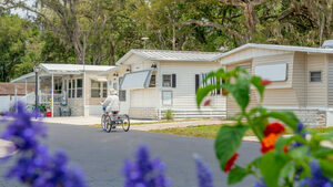 Rainbow Village Rv Resort  Age Restricted 55   Zephyrhills Fl 0