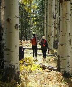 Village Camp Flagstaff Bellemont Az 2