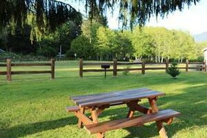 Quinault River Inn And Rv Amanda Park Wa 2