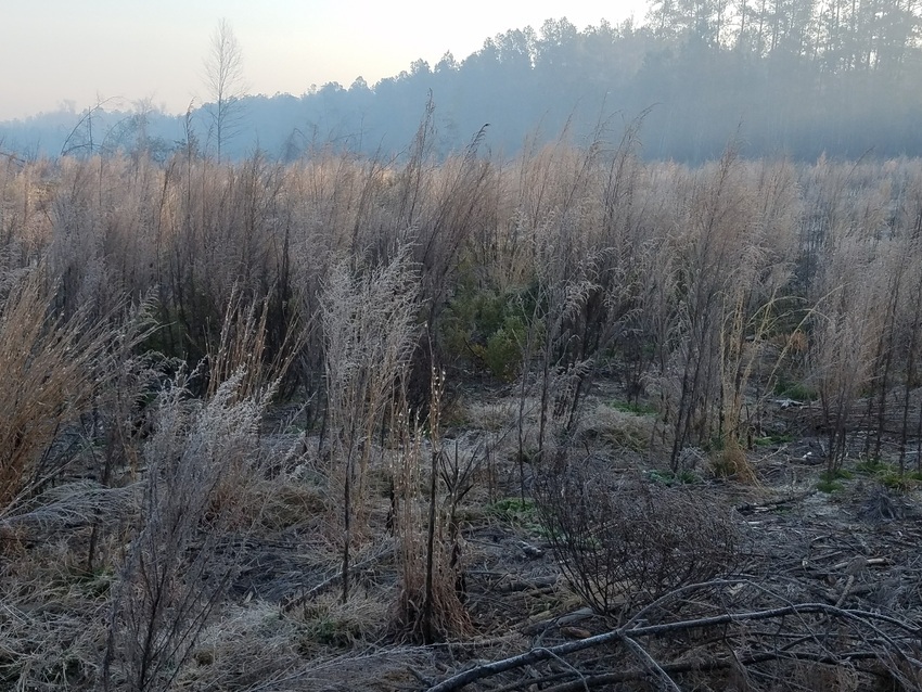 Davisboro Rv Park Davisboro Ga 5