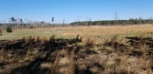 Davisboro Rv Park Davisboro Ga 10