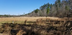 Davisboro Rv Park Davisboro Ga 11