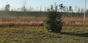 Davisboro Rv Park Davisboro Ga 12