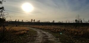 Davisboro Rv Park Davisboro Ga 15