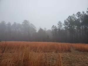 Davisboro Rv Park Davisboro Ga 19