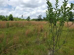Davisboro Rv Park Davisboro Ga 20