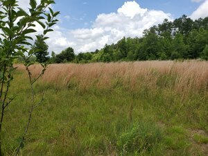 Davisboro Rv Park Davisboro Ga 21