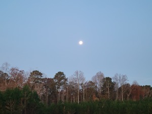 Davisboro Rv Park Davisboro Ga 31