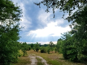 Davisboro Rv Park Davisboro Ga 37