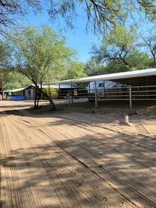 Lady Lottie Roping Camp Wickenburg Az 1