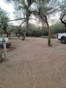 Lady Lottie Roping Camp Wickenburg Az 4