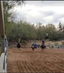 Lady Lottie Roping Camp Wickenburg Az 13