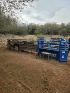 Lady Lottie Roping Camp Wickenburg Az 18