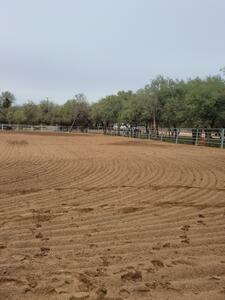 Lady Lottie Roping Camp Wickenburg Az 20