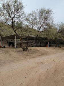 Lady Lottie Roping Camp Wickenburg Az 21