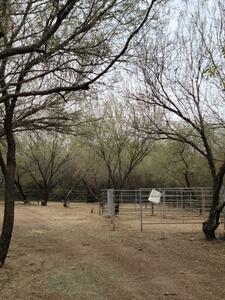Lady Lottie Roping Camp Wickenburg Az 26
