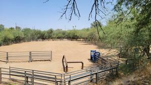 Lady Lottie Roping Camp Wickenburg Az 29