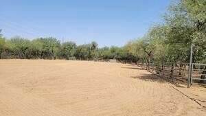 Lady Lottie Roping Camp Wickenburg Az 30