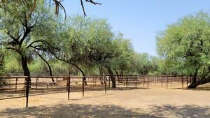 Lady Lottie Roping Camp Wickenburg Az 33