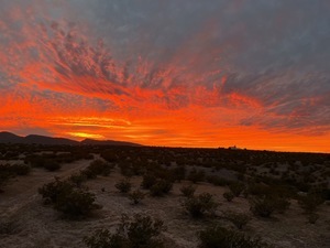 Desert View Rv Park  Elephant Butte Nm 4