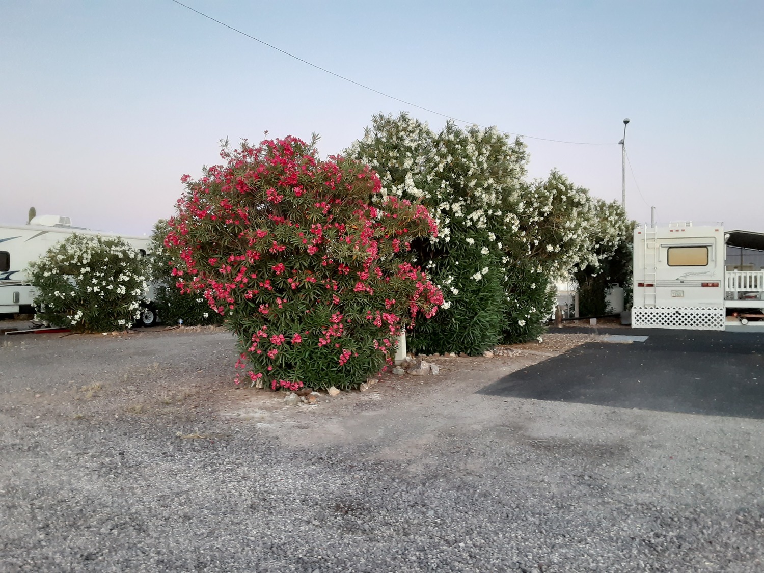 Bouse RV Park 25 Photos, 23 Reviews Bouse, AZ RoverPass