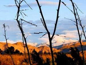 Stagecoach Trails Rv Julian Ca 16