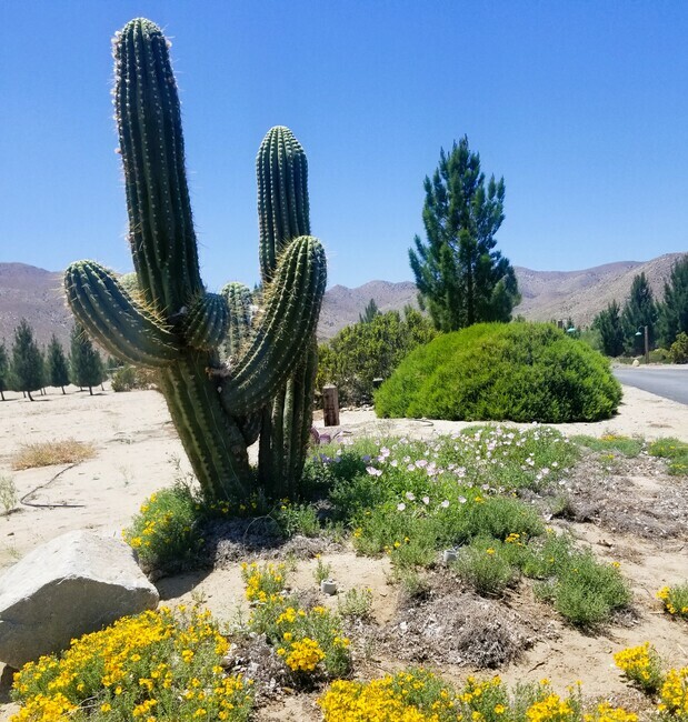 Stagecoach Trails Rv Julian Ca 17