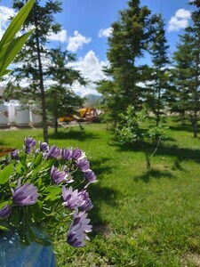 Rendez Vous Rv Park Peace River Ab 4