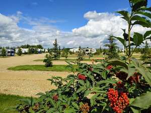 Rendez Vous Rv Park Peace River Ab 6