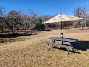 Cosmic Duck Rv Park Rockdale Tx 7
