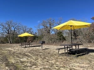 Cosmic Duck Rv Park Rockdale Tx 12