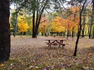 Plymouth Sands Campground Plymouth Nh 2