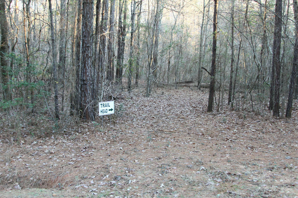 Nature's Design RV Park 16 Photos Marshall, TX RoverPass