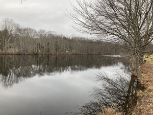 Ginny B Family Campground  Foster Ri 3