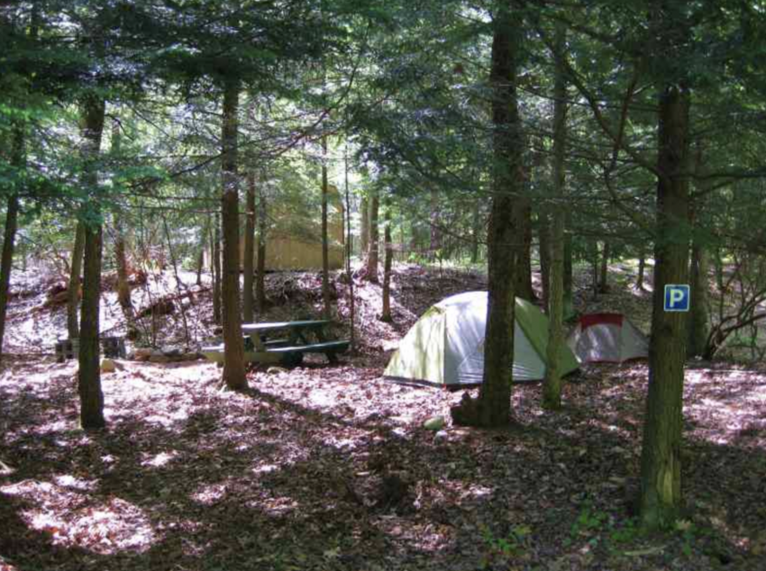 Abrams Creek Lodge And Campground Elk Garden Wv 8
