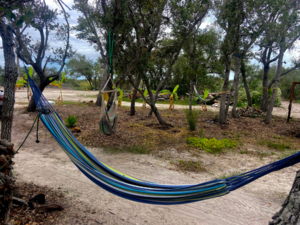 Beloved Garden Tiny Home   Rv Community Aransas Pass Tx 1