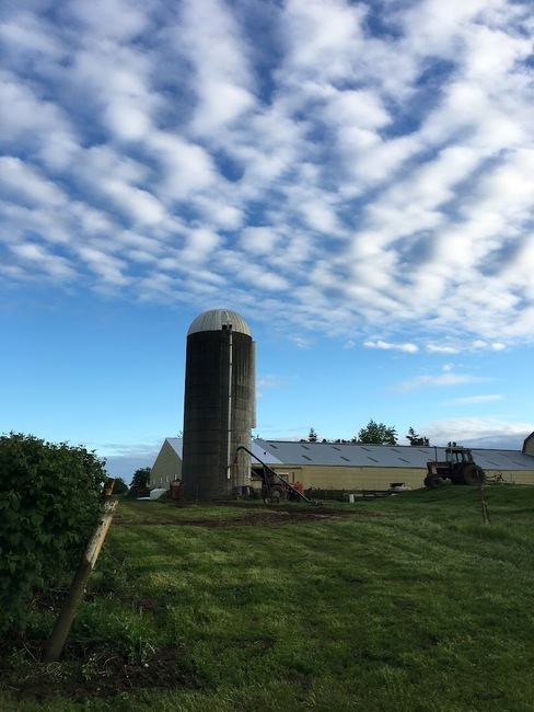 Oostema Farmstead Lynden Wa 37