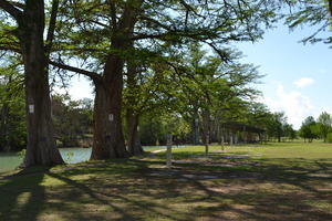 Southern Sky Music Ranch Rv  Kerrville Tx 12