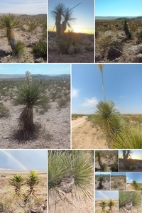 Apache Park And Trail Camping Van Horn Tx 10