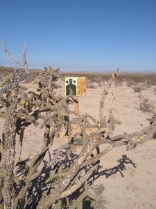 Apache Park And Trail Camping Van Horn Tx 30