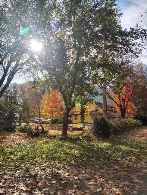 Big Foot Rv Park   Cabins Happy Camp Ca 12