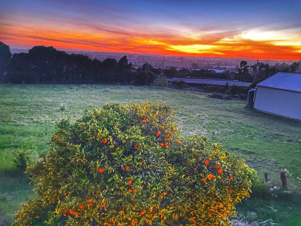 A Cozy tent with your beds Love, Peace and Sunset Ranch 5 Photos