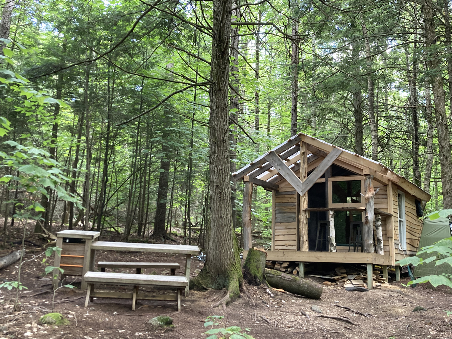 Ohana Roots Camp at Sandy Pond, Forest Hideaway Site 5 Photos