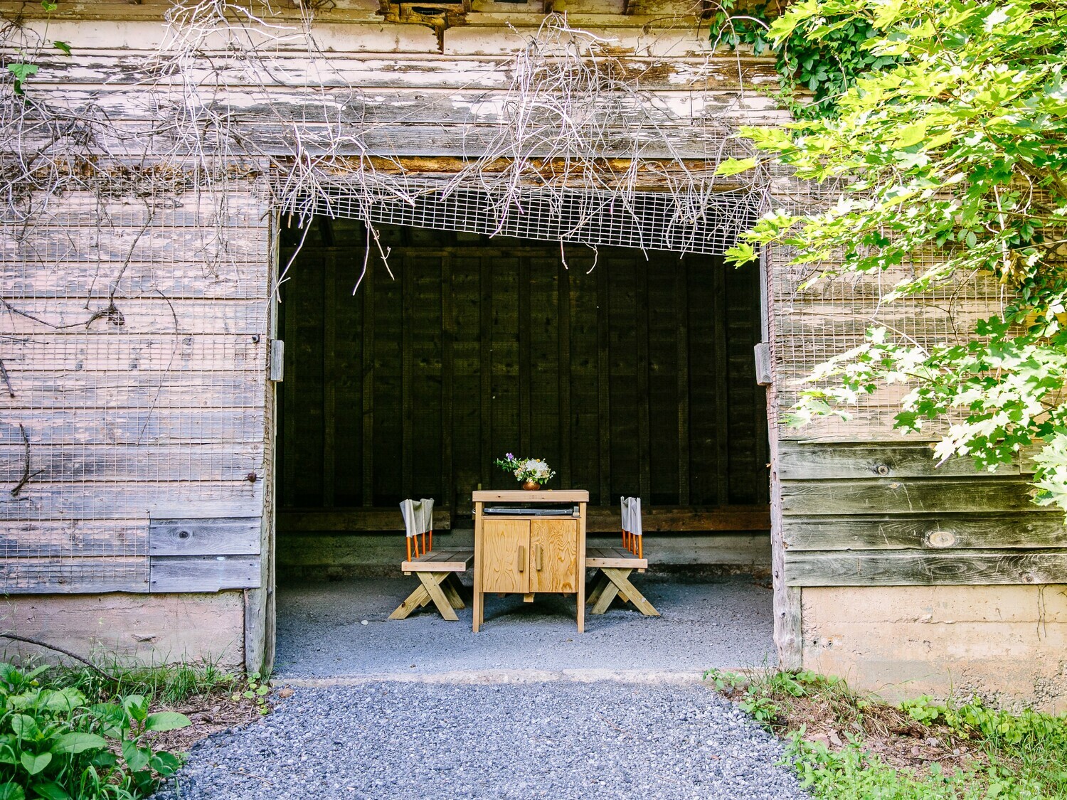 The Old Catskill Game Farm Abandoned Zoo Fido's Vineyard 5 Photos