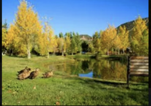 Aspen Grove Inn At Heise Bridge Rigby Id 2