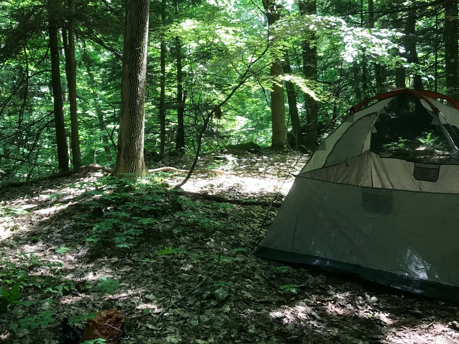 The Lodge's Backcountry Site 3 Photos Canaan, NY RoverPass