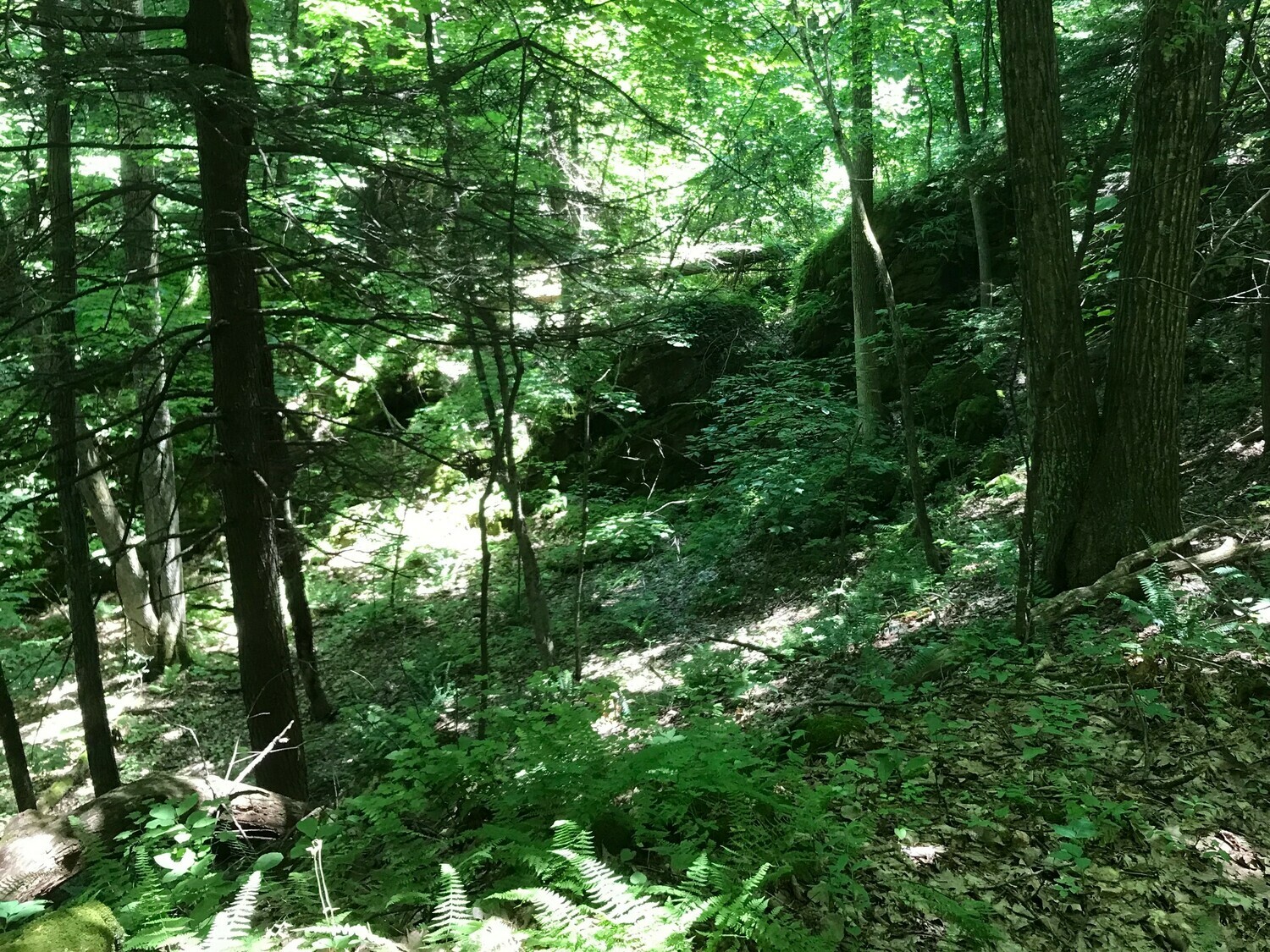 The Lodge's Backcountry Site 3 Photos Canaan, NY RoverPass