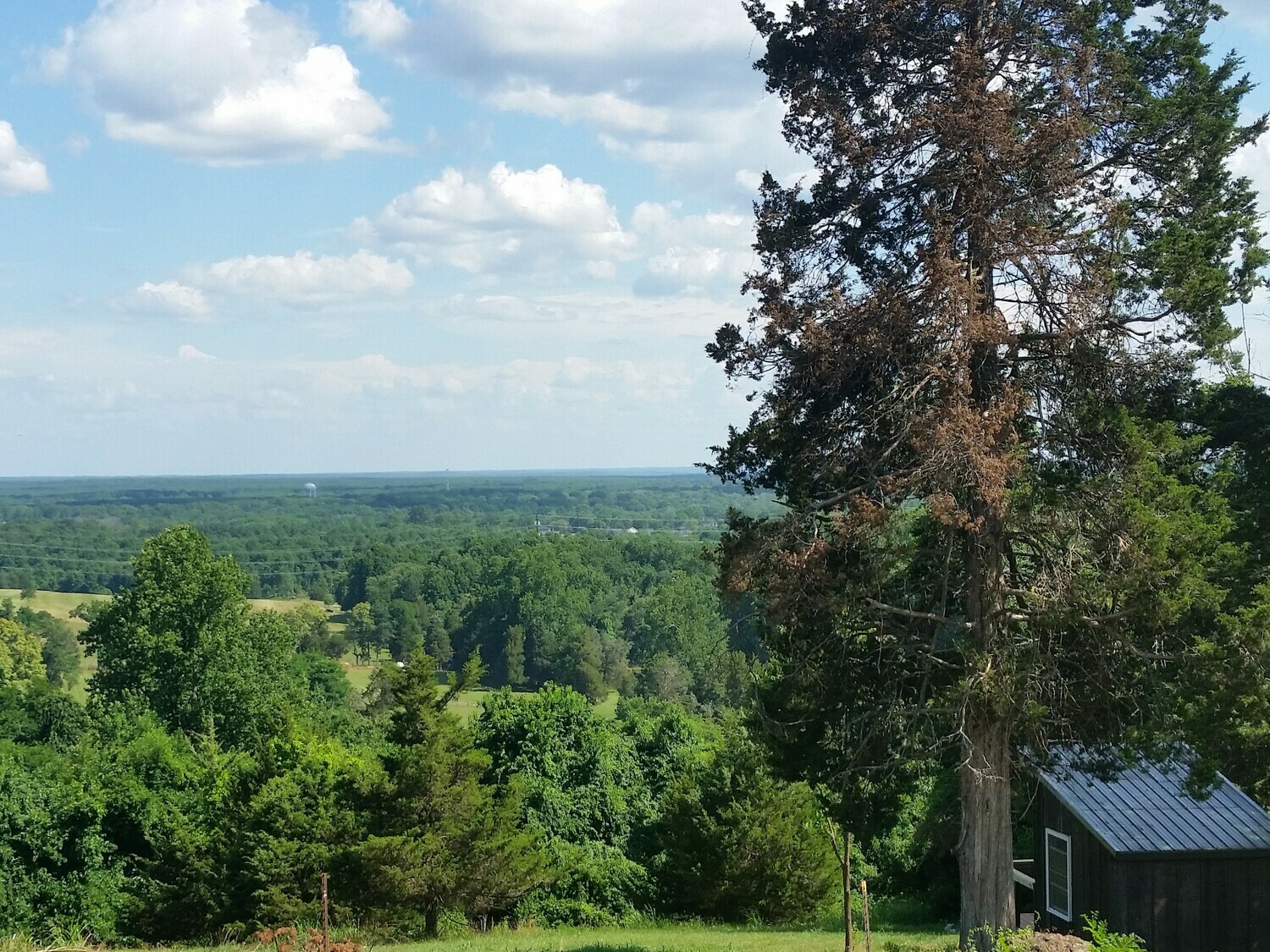 Jefferson Sea Cabin heated, private, spectacular views 5 Photos