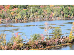 Quinebaug Cove Campground Brimfield Ma 9